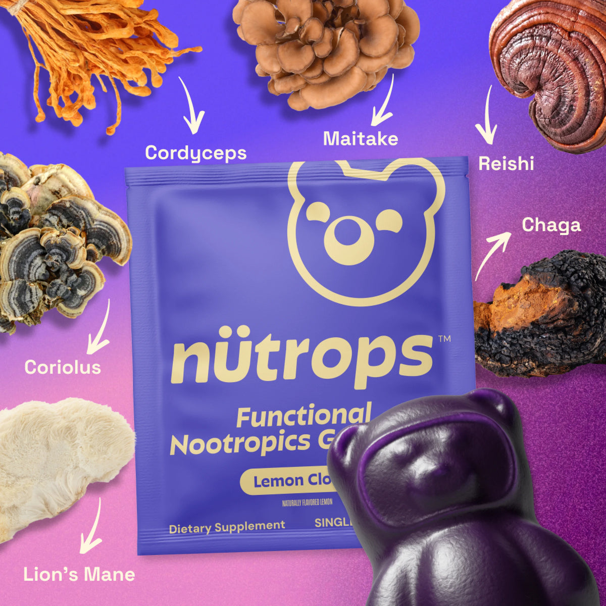 An assortment of various mushrooms in different shapes, colors, and textures against a white background.